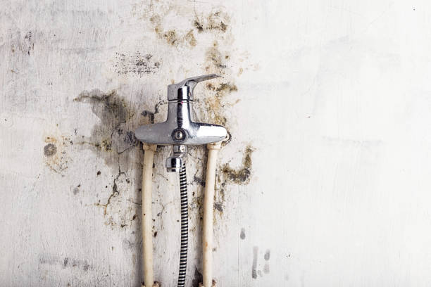Trusted Monticello, LA Mold Removal Experts