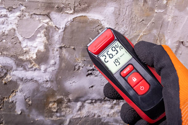 Best Emergency Mold Removal  in Monticello, LA