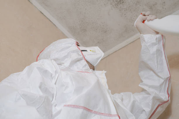 Mold Testing and Removal in Monticello, LA