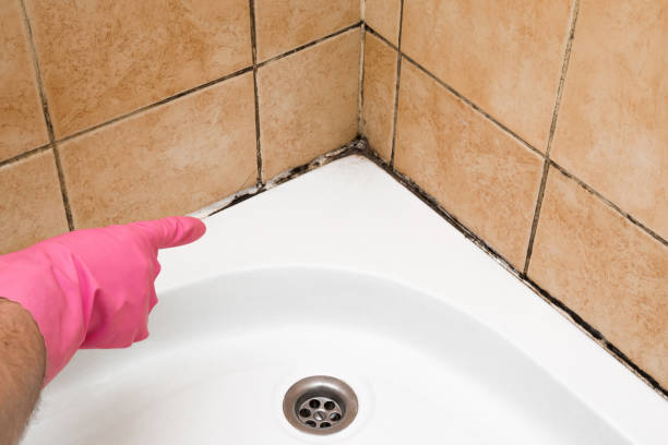 Best Certified Mold Removal  in Monticello, LA